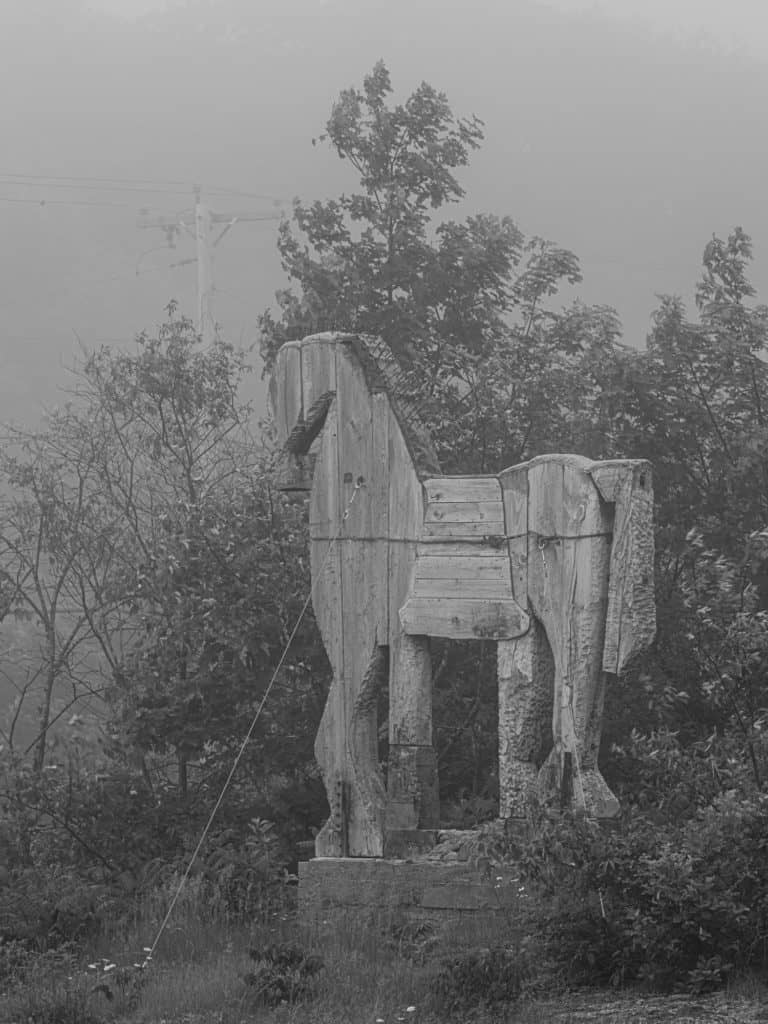 05 Langlais Horse In Fog
